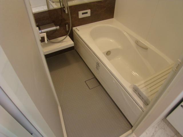 Bathroom. Indoor (12 May 2013) Shooting