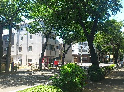 Local photos, including front road. Local (August 2013) Shooting