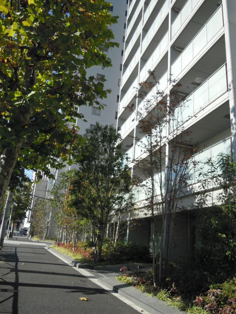 Local appearance photo. Local (11 May 2013) Shooting