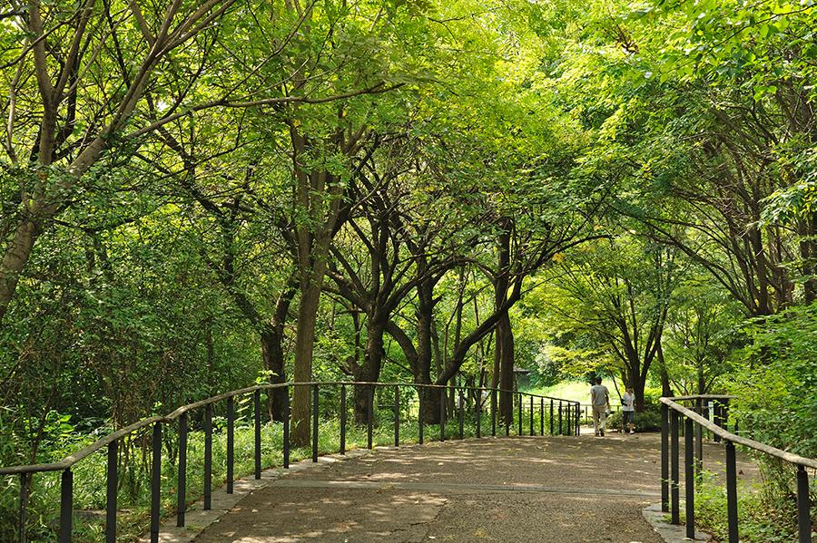 park. Akabane 1210m to nature observation park