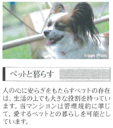 Other. Pets Allowed condominium. There are a lot of good walks in this neighborhood.