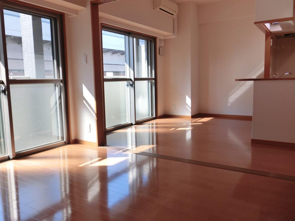 Living. Indoor (February 2013) Shooting