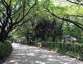 Other. You can go on foot to Asukayama park. 