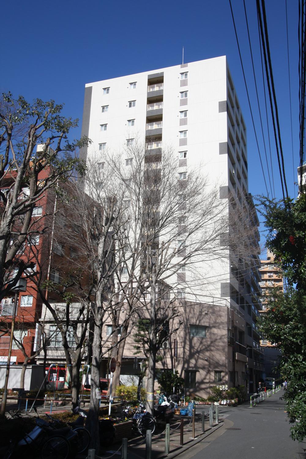 Local appearance photo. Taken from the local south side (12 May 2013)