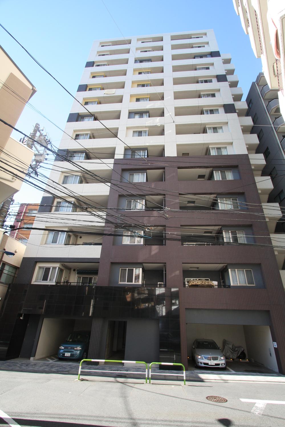 Local appearance photo. Taken from the local east side (12 May 2013)