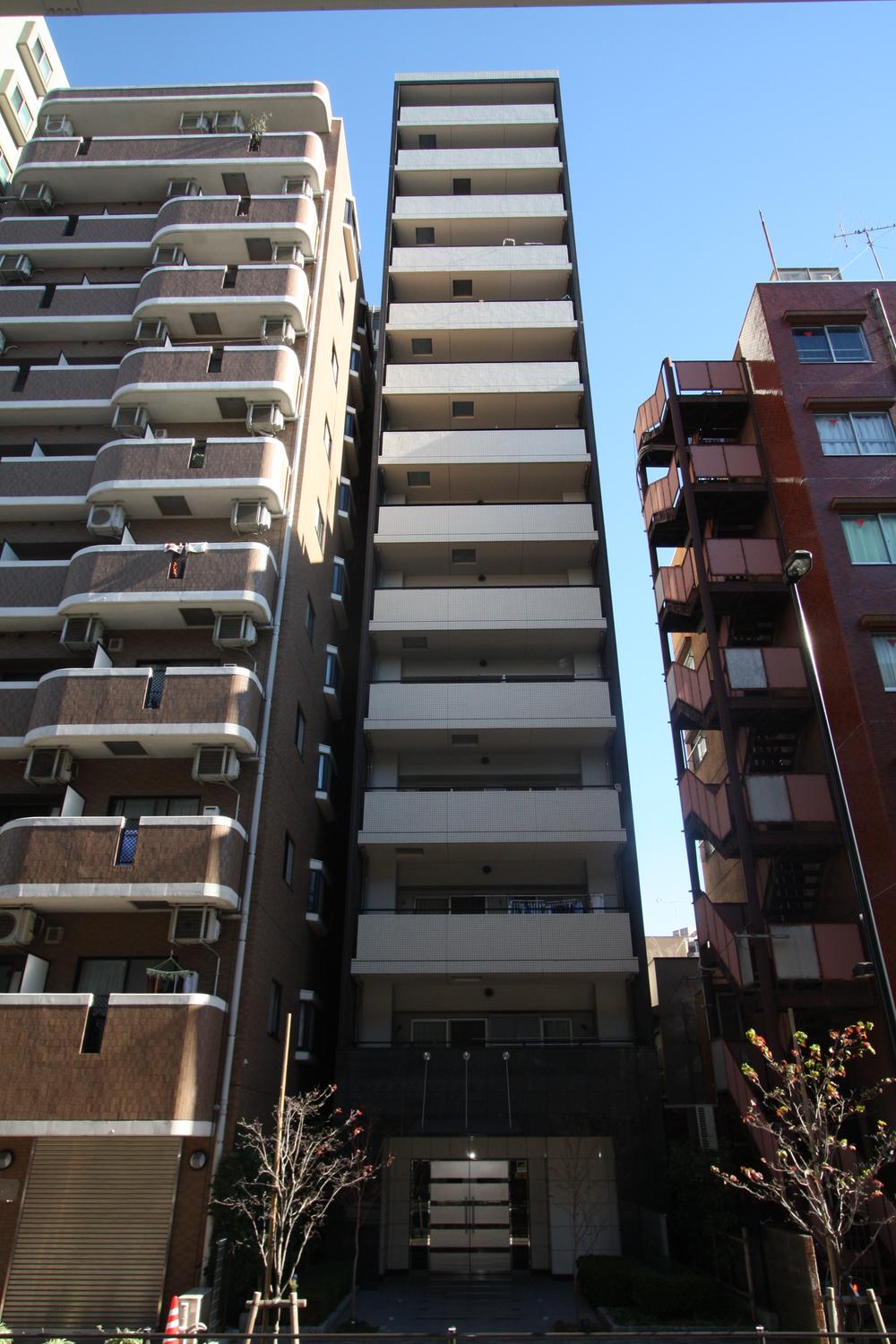 Local appearance photo. Taken from the local west (12 May 2013)