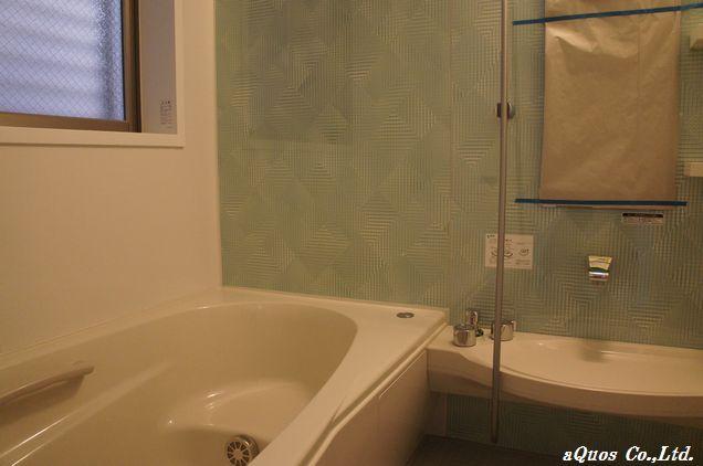 Bathroom. Indoor (10 May 2013) Shooting