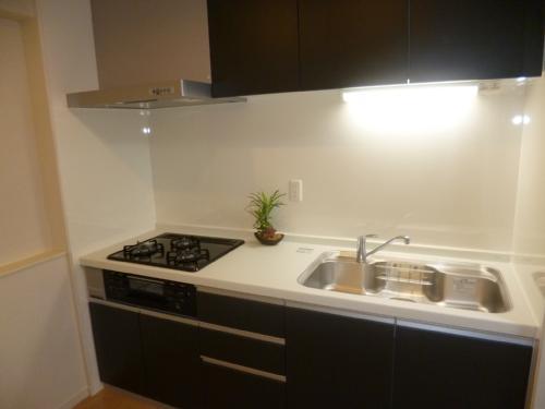 Kitchen. Indoor (10 May 2013) Shooting