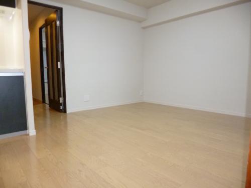 Living. Indoor (10 May 2013) Shooting