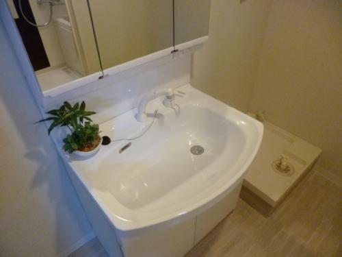 Wash basin, toilet. Indoor (10 May 2013) Shooting