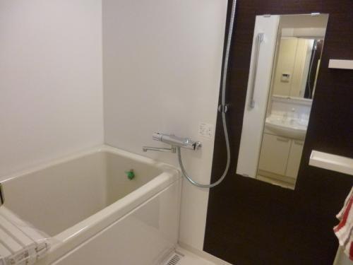 Bathroom. Indoor (10 May 2013) Shooting