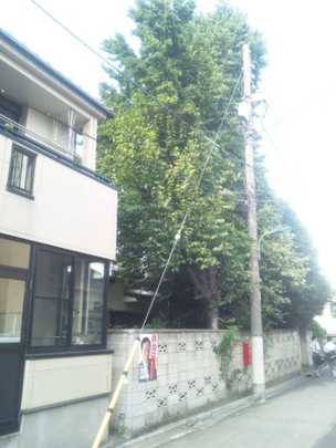 Local land photo. appearance