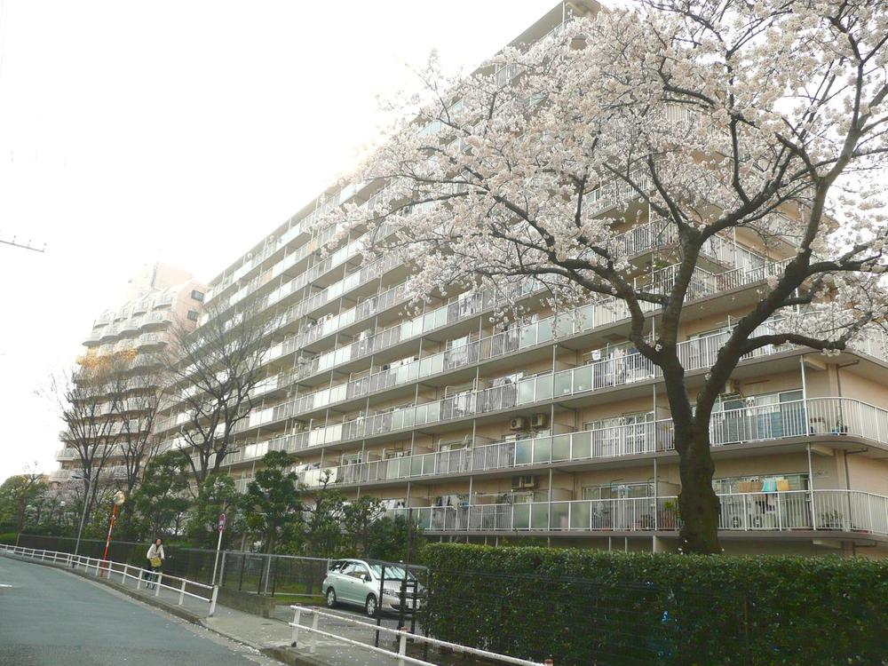 Local appearance photo. appearance