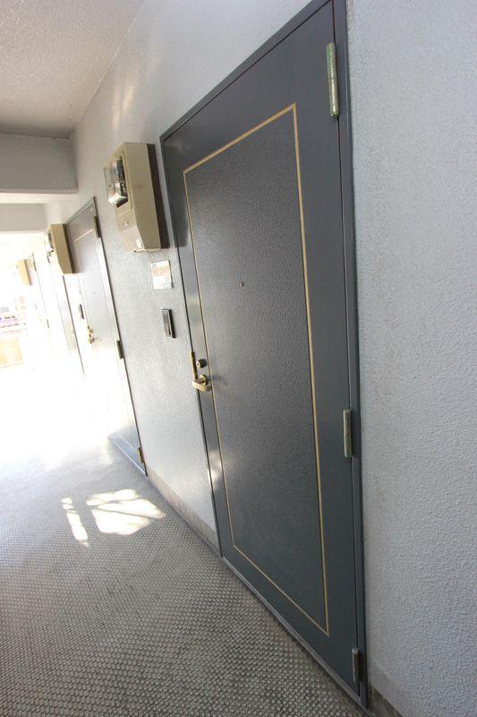 Entrance. Entrance door