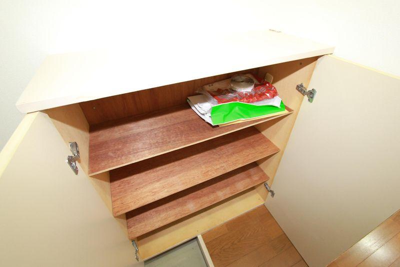 Entrance. Entrance footwear purse