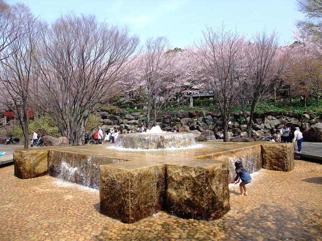 park. 1110m to Asukayama park