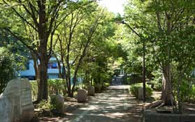 Surrounding environment. Akabane green road park (about 570m / An 8-minute walk)