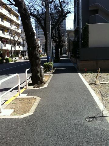 Other. Front sidewalk