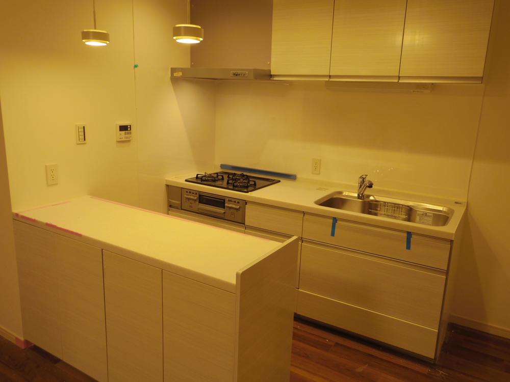 Kitchen. Indoor (13 May 2011) Shooting