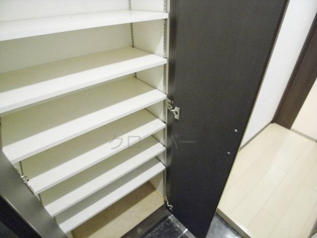 Entrance. Footwear purse