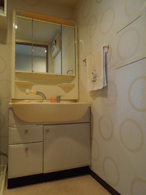 Wash basin, toilet. Vanity (December 2013) Shooting