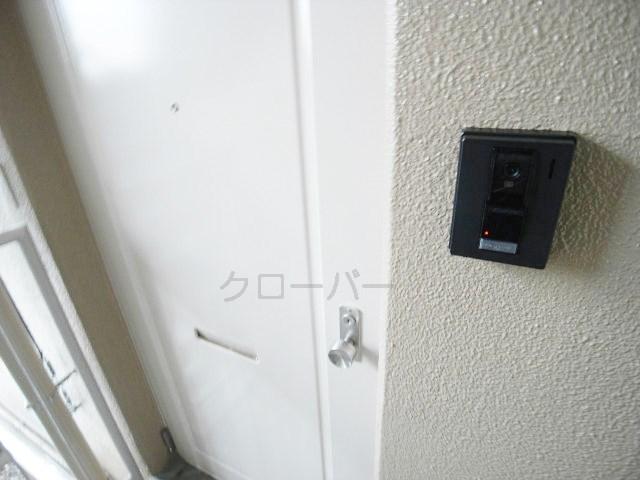 Entrance. Entrance door