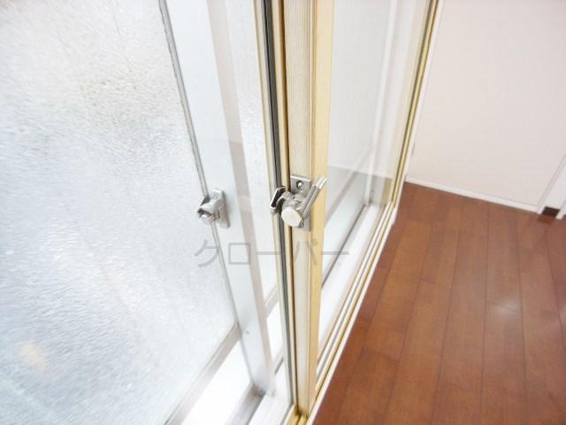 Other introspection. Double sash