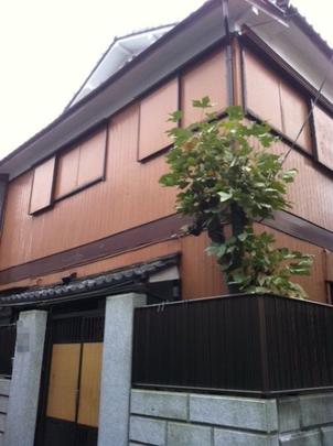 Local land photo. appearance