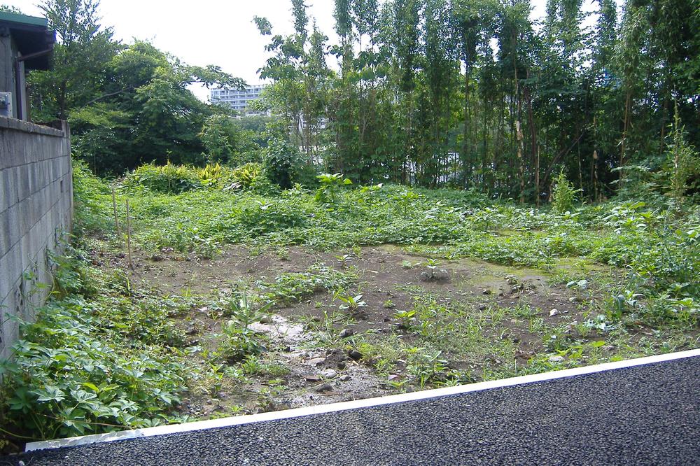 Local land photo. Local (June 2012) shooting