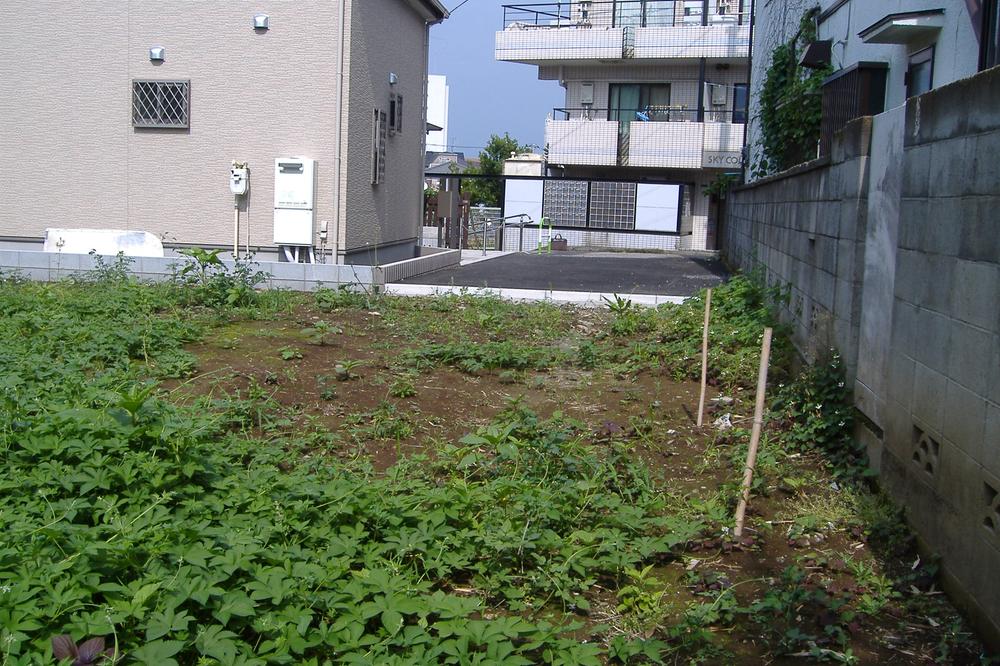 Local land photo. Local (June 2012) shooting