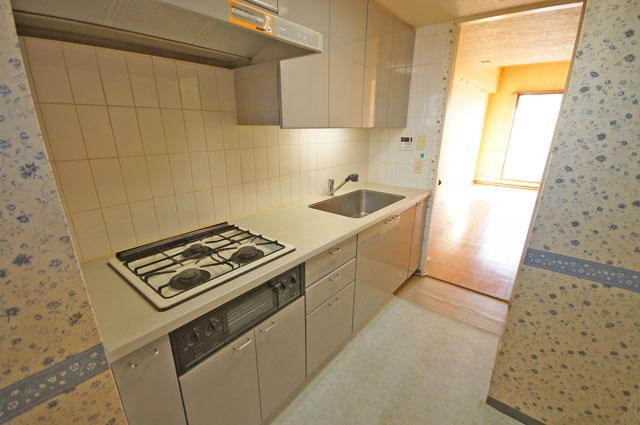 Kitchen. Indoor (12 May 2013) Shooting