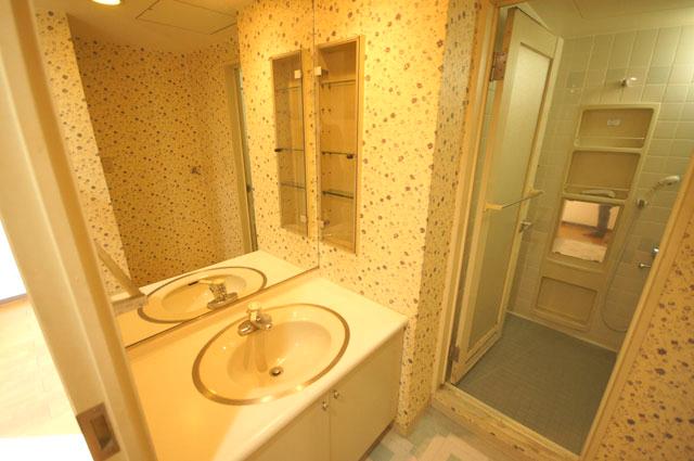 Wash basin, toilet. Indoor (12 May 2013) Shooting