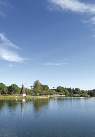 Interior. About 40,000 sq m also proud of the breadth of the "Ukima park". Around the big pond, Jabujabu pond that can adventure Square and wading with the play equipment for children, Bird sanctuary, baseball Ground, Dotted and tennis courts. In the spring there is also a row of cherry trees to flower viewing enjoy, It has been popular as a space for the rest of many people