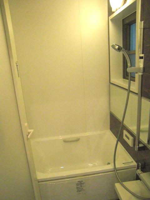 Bathroom. 2013 / 11 / 12 shooting