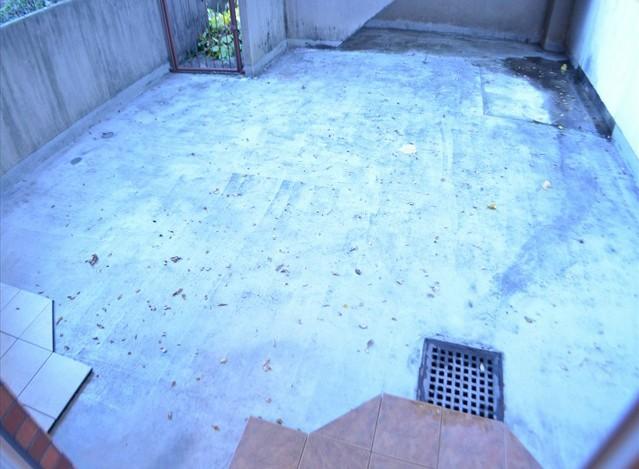 Other. Imperial prince of the terrace