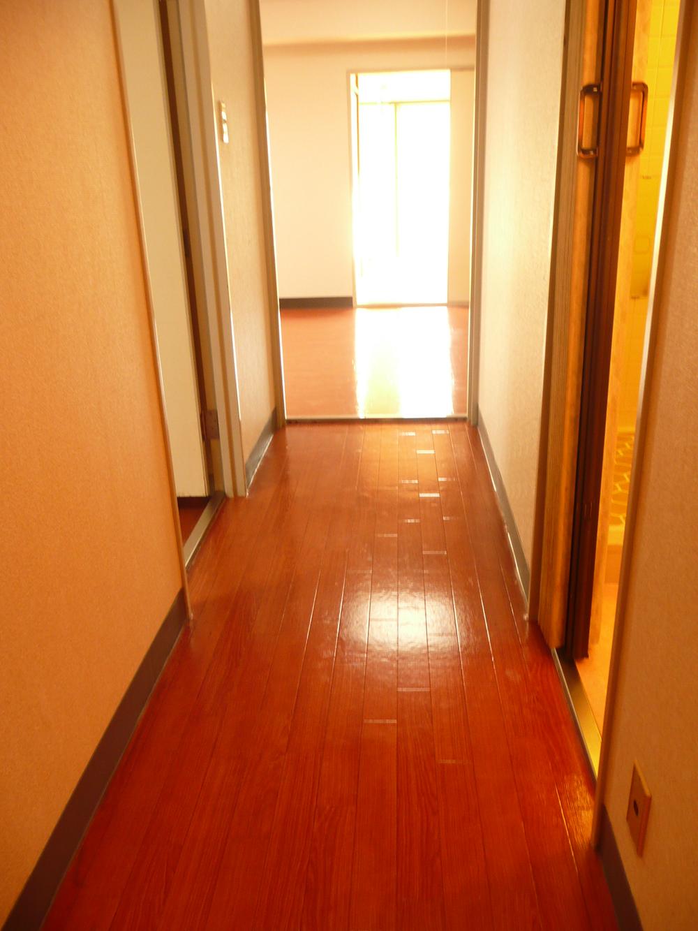 Other introspection. Corridor