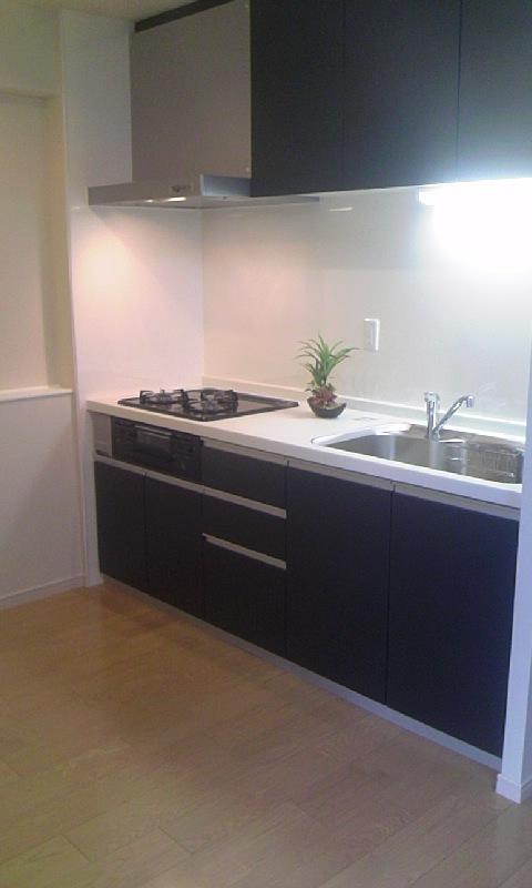 Kitchen. Indoor (11 May 2013) Shooting