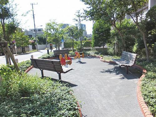 Other. Local (August 2013) Shooting