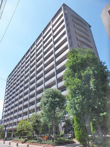 Other local. Local (August 2013) Shooting