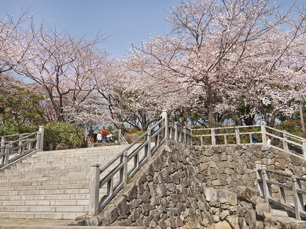 Surrounding environment. Planted cherry tree by Yoshimune Tokugawa in the Edo era, Asukayama that has been open to the public. From Edo old to modern, Healing the unchanged human mind, There is a history of beloved. (Asukayama park / About 160m / A 2-minute walk)