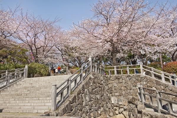 Asukayama park (2 minutes walk / About 160m)