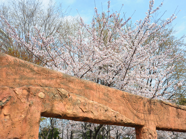 Surrounding environment. Toshima Baba ruins park (about 230m, A 3-minute walk)