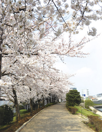 Surrounding environment. Sumida River (approximately 190m, A 3-minute walk)