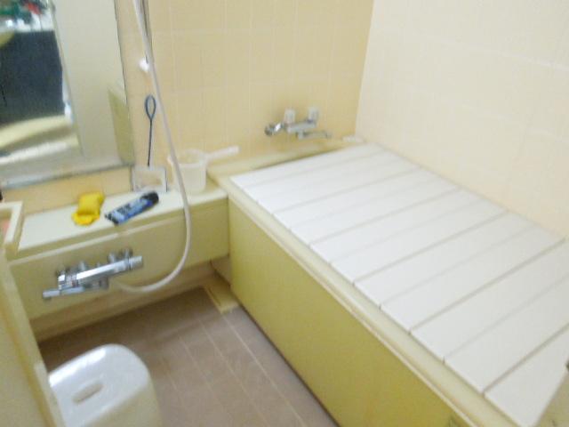 Bathroom. Indoor (11 May 2013) Shooting