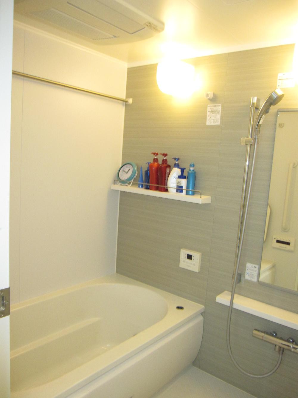 Bathroom. Indoor (11 May 2013) Shooting