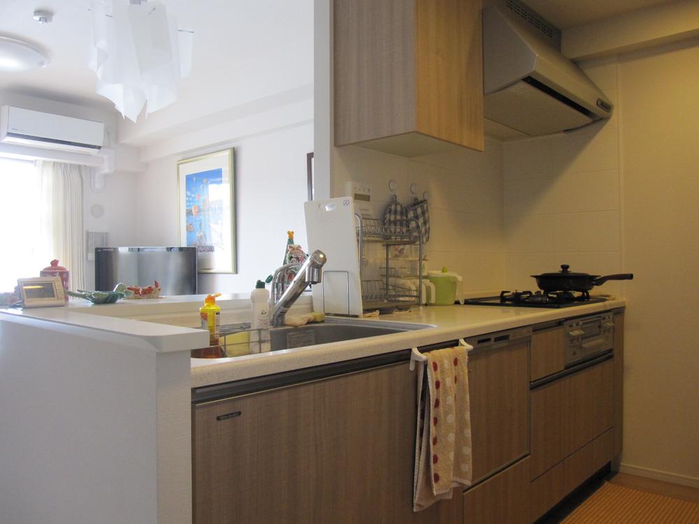 Kitchen. Indoor (11 May 2013) Shooting