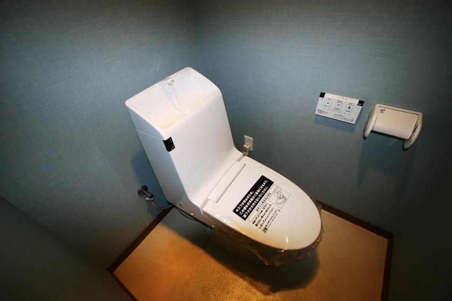 Toilet. Toilet of muted colors.