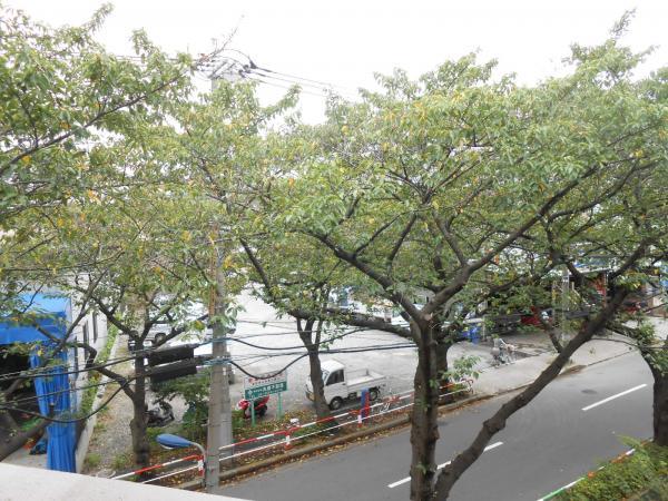 View photos from the dwelling unit