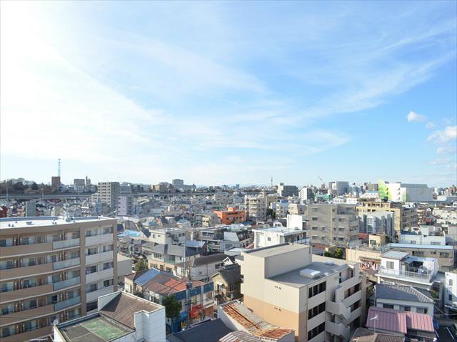 View photos from the dwelling unit. The view from the 8th floor is the Goutte