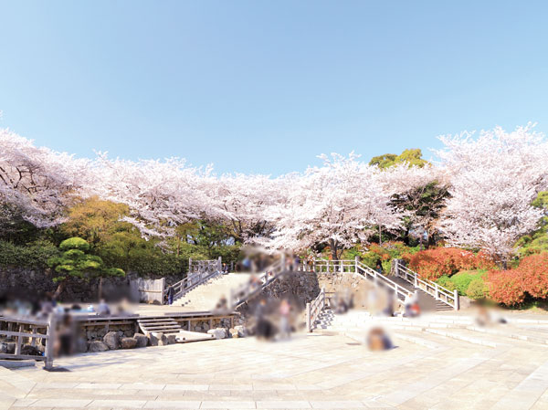 Surrounding environment. Asukayama park (walk from the local 9 minutes ・ About 720m)